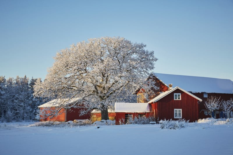 Gårdstun farget i rødt på vinteren